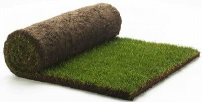 Roll Out Turf - per m2