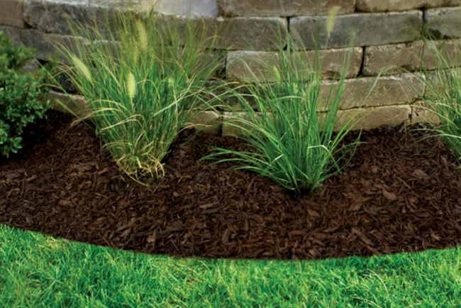 Bark Mulch