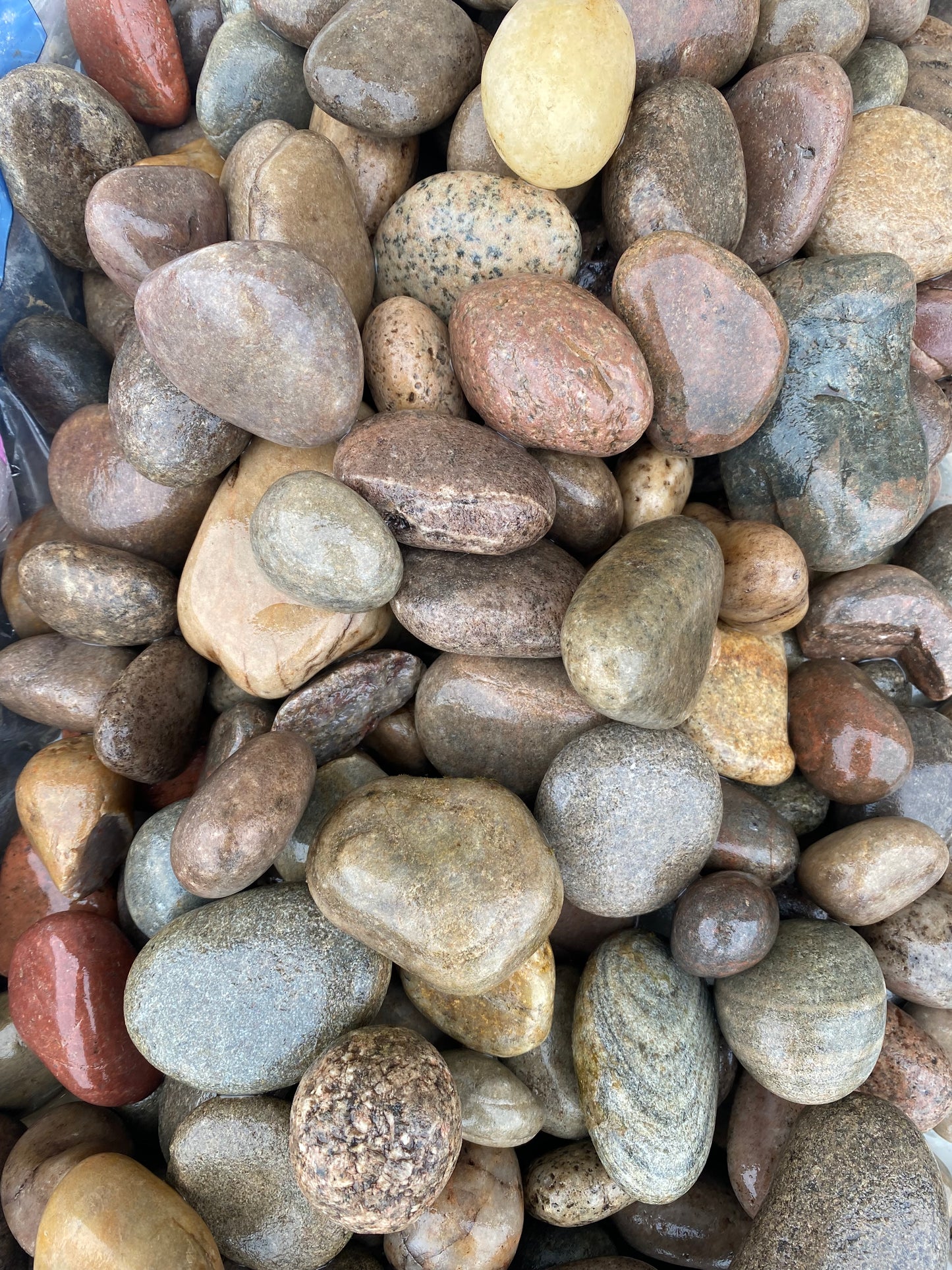 Scottish Beach Pebble 30-50mm