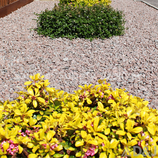 Pink Granite 20mm