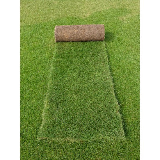 Roll Out Turf
